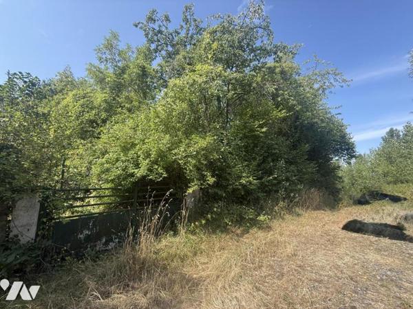 EXCLUSIVITE - MUIZON- Jardin de 630m²