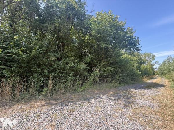 EXCLUSIVITE - MUIZON- Jardin de 630m²