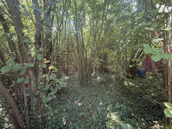EXCLUSIVITE - MUIZON- Jardin de 630m²