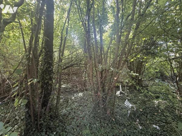 EXCLUSIVITE - MUIZON- Jardin de 630m²