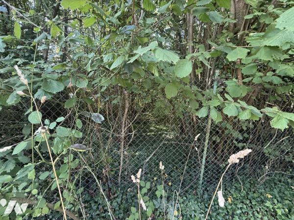 EXCLUSIVITE - MUIZON- Jardin de 630m²