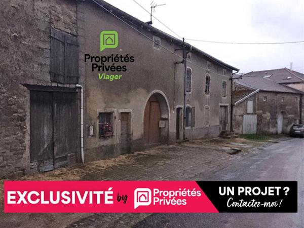 Maison Viomenil 14 pièce(s) 230 m2, EN VIAGER OCCUPÉ!