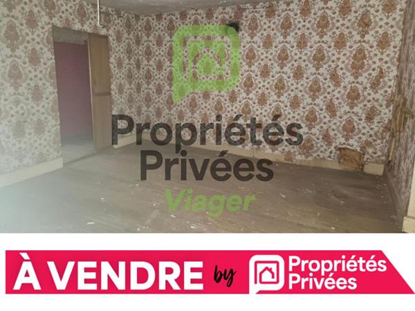 Maison Viomenil 14 pièce(s) 230 m2, EN VIAGER OCCUPÉ!