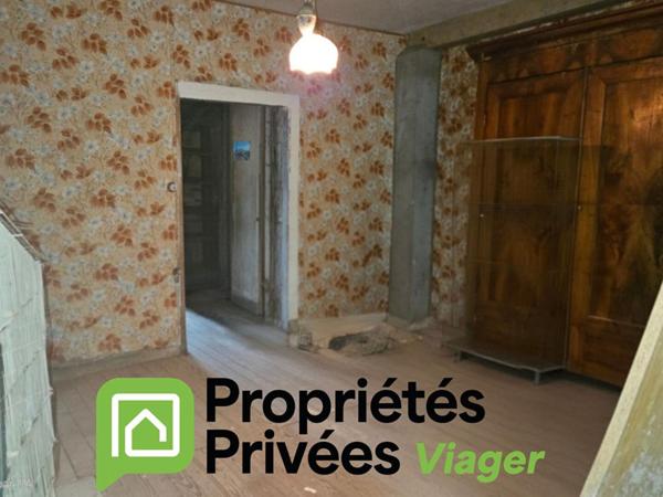 Maison Viomenil 14 pièce(s) 230 m2, EN VIAGER OCCUPÉ!