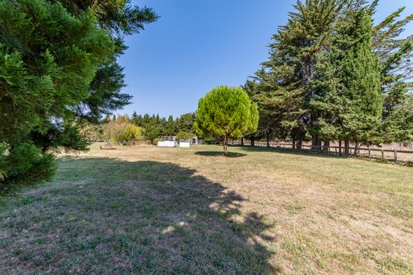 Mauguio (34130) Maison 220 m2, six chambres, 20000 m2 de terrain.