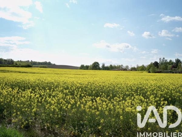 Terrain à vendre 950 m² Saint-Nauphary