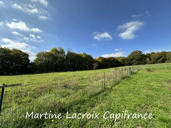 Dpt SARTHE (72), BONNÉTABLE - PROPRIÉTÉ P8 de 200 m² - Terrain de 1,60 Ha