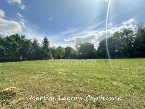 Dpt SARTHE (72), BONNÉTABLE - PROPRIÉTÉ P8 de 200 m² - Terrain de 1,60 Ha