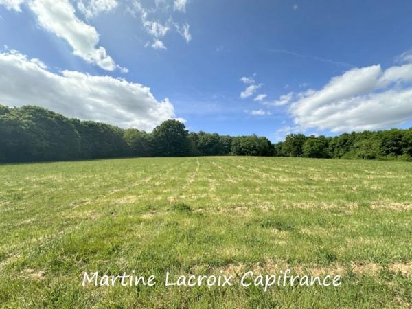 Dpt SARTHE (72), BONNÉTABLE - PROPRIÉTÉ P8 de 200 m² - Terrain de 1,60 Ha