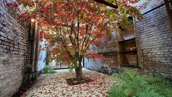 Maison bourgeoise d’exception au cœur de Tourcoing