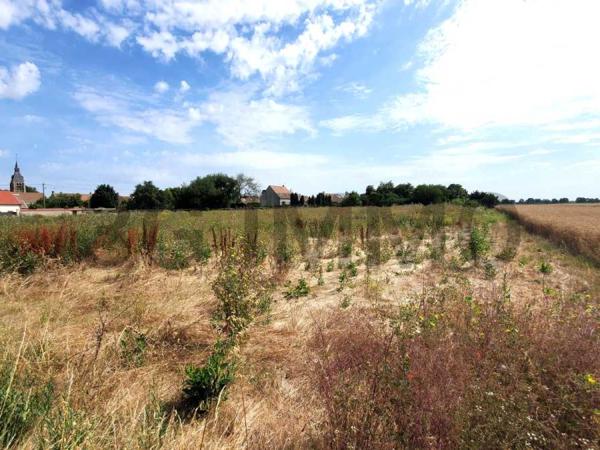 Vente / Terrain constructible