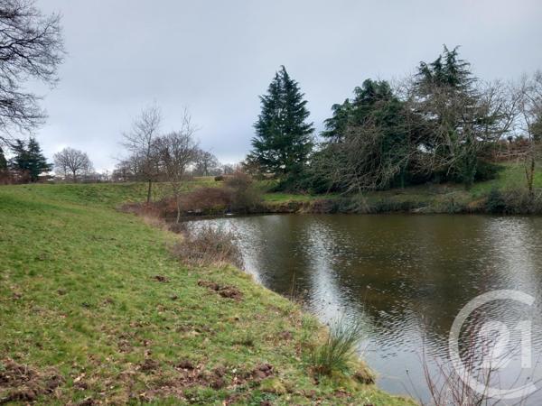 Terrain à vendre  32616 m2 NERIS LES BAINS - 03