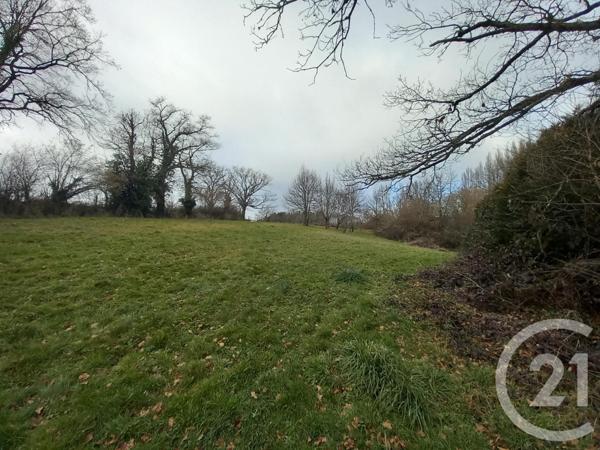 Terrain à vendre  32616 m2 NERIS LES BAINS - 03