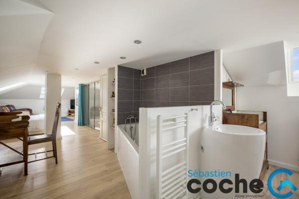 Lyon (69003) ATTIQUE / MAISON SUR LE TOIT MONTCHAT