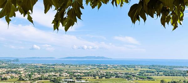 Villa D?exception Entre Brégançon Et Giens Un Havre De Paix En Méditerranée