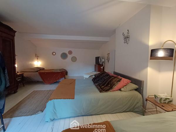 Maison 349 m² à Le Tablier 85310