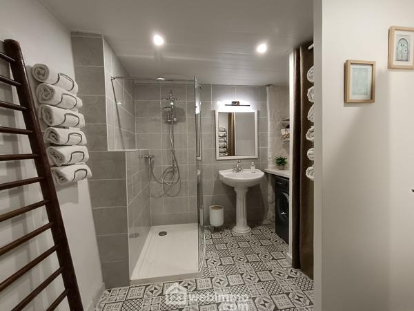 Maison 349 m² à Le Tablier 85310
