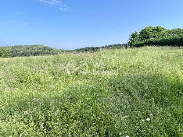 Terrain constructible et viabilisé de 1470 m2 sur les hauteurs de Cransac Les Thermes !