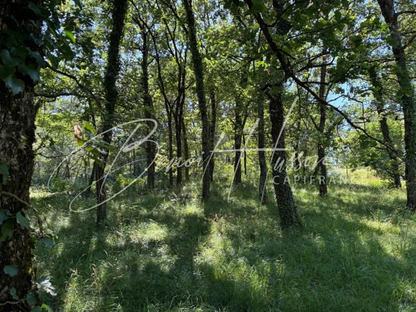 Terrain constructible de 1768m² - Hors lotissement