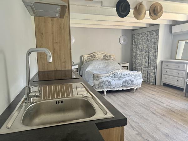 Saint-Vite (47500) Saint Vite Maison en pierre avec 3 chambres, maison des ami et jardin