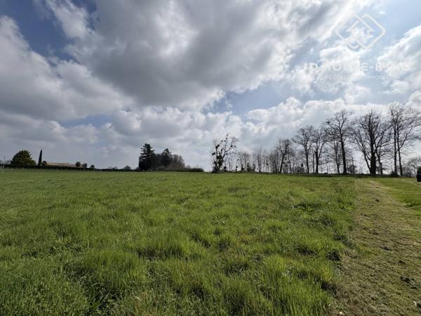Terrain à vendre de 2 960 m²