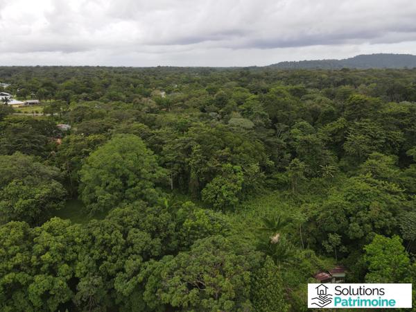 Foncier de 47893 m² à Matoury la levée