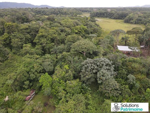 Foncier de 47893 m² à Matoury la levée