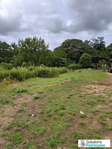 Foncier de 47893 m² à Matoury la levée