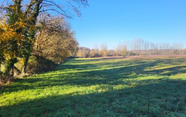 Vente Terrain Constructible Mauvezin   