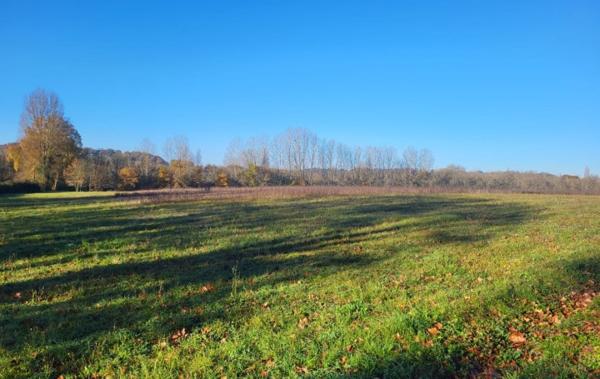 Vente Terrain Constructible Mauvezin   