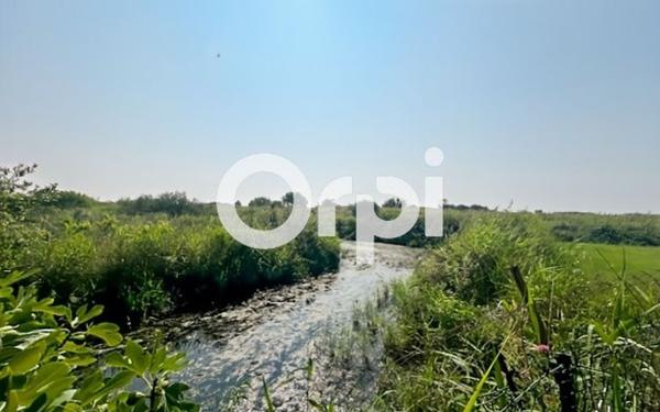 Maison à vendre    6 pièces • 145 m2 Mireval