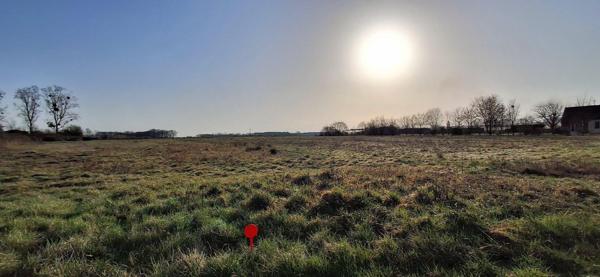 Terrain à SOINGS-EN-SOLOGNE, 41230 - 6030m²