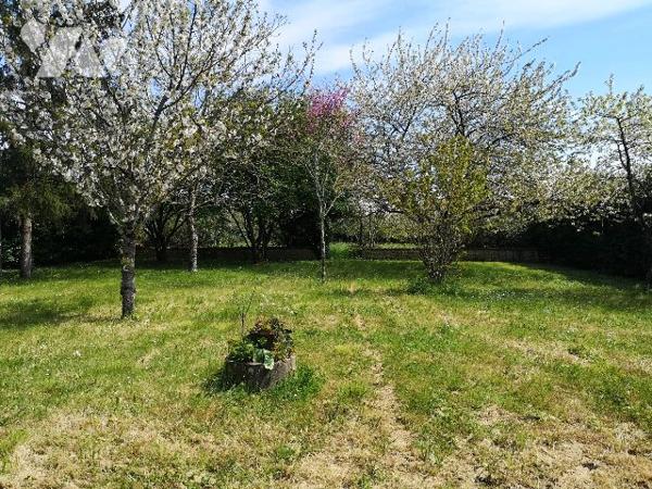 Pavillon sur sous-sol grand jardin