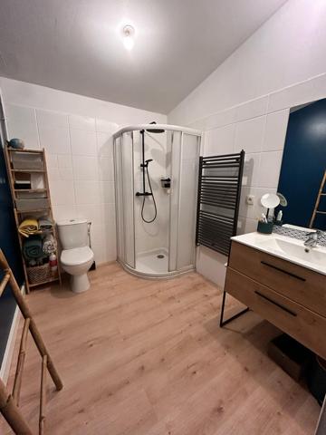 Limas centre appartement meublé duplex T2 avec cachet et jardin Détails des diagnostics énergétiques