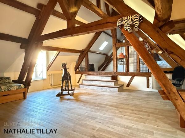 Orléans Maison de charme et de caractère, à vendre, 227m² habitables, parc de 3755 m²