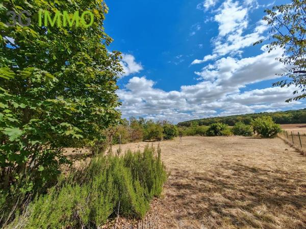 Vente / Maison en pierre à Nogent-sur-Seine (10400)