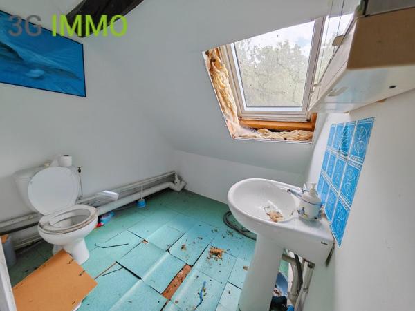 Vente / Maison en pierre à Nogent-sur-Seine (10400)