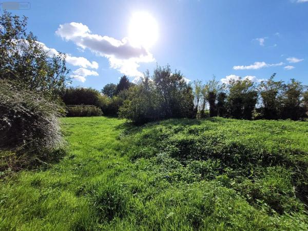 Achat - Maison | Maison individuelle Halinghen 62830 5 pièces 148 m 2 1352 m 2