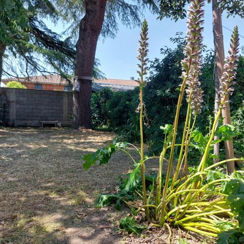 Maison à vendre 9 pièces MONTAUBAN (82) avec jardin et dépendance
