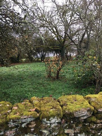 Maison à restaurer à vendre à Saint-Sernin-du-Bois en Saône-et-Loire (71200), ref : 13744/322