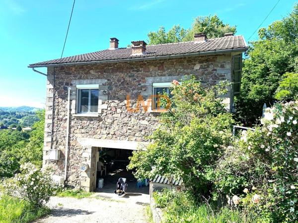 Maison avec terrain au calme