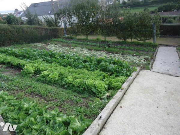 TERRAIN A BÂTIR EQUEURDREVILLE DE 269m²