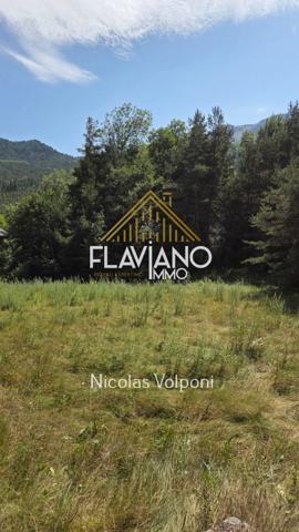 Terrain 1570 m2 Uvernet-Fours (04400)