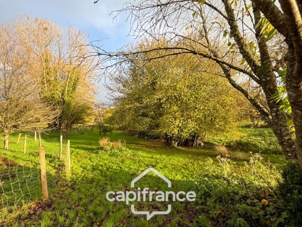 À vendre – Langoëlan (56160) – Ensemble de deux maisons en pierres au cœur d’un environnement naturel exceptionnel