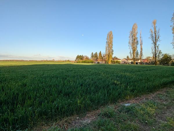Foncier rare : Votre projet sur mesure ici