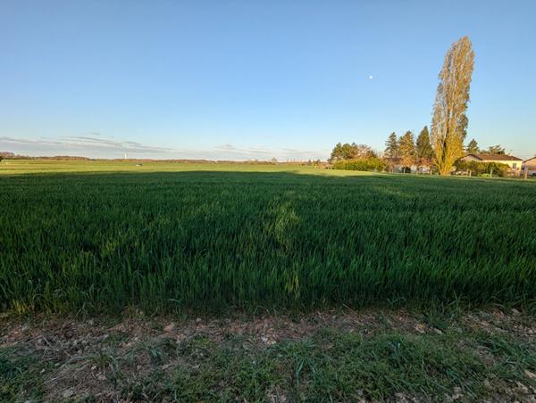 Foncier rare : Votre projet sur mesure ici