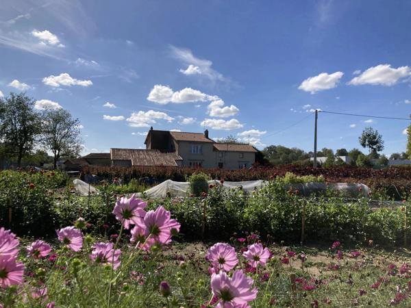 Corps de ferme avec terrain de 4ha