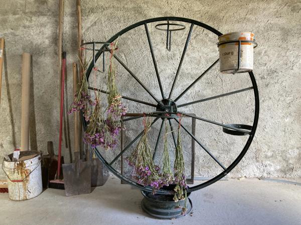 Corps de ferme avec terrain de 4ha