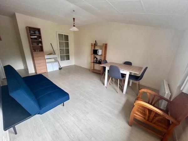 Investissement locatif : Lot de 2 appartements meublés à vendre