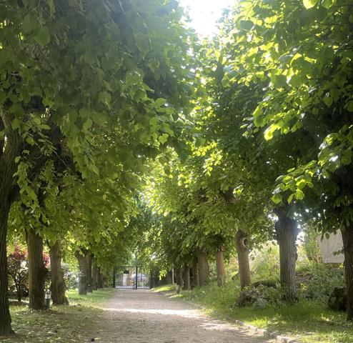 Appartement 3 pièces - 65 m²